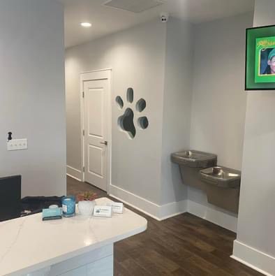 A dog 's paw print is painted on the wall of this office.